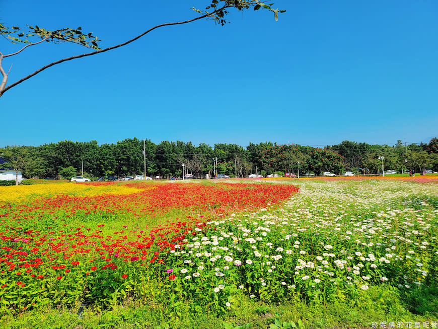 屏東｜新埤鄉綜合休閒公園