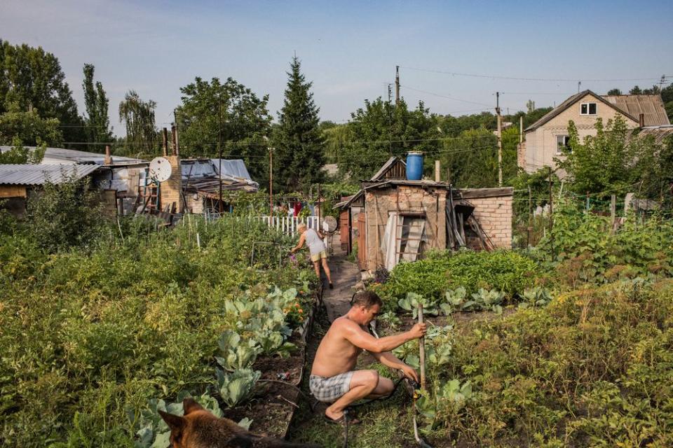 Elena Dyachkova and Aleksander Dokalenko garden in their backyard in old Avdeevka. Their property has been shelled multiple times and the house has received three direct hits. Often they find bullets and shrapnel among their tomato and cucumber beds.