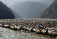 Plastic bottles, wooden planks, rusty barrels and other garbage clogging the Drina river near the eastern Bosnian town of Visegrad, Bosnia, Tuesday, Jan. 5, 2021. Further upstream, the Drina tributaries in Montenegro, Serbia and Bosnia are carrying even more waste after the swollen rivers surged over the the landfills by their banks. The Balkan nations have poor waste management and tons of garbage routinely end up in rivers. (AP Photo/Eldar Emric)