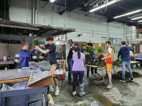 Wynford Vo-Ag students help pack trees for the 2022 sale and will help again this year.