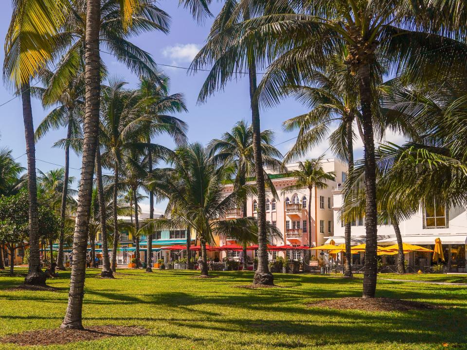 A shady park full of palm trees between the beach and Ocean Drive in Miami