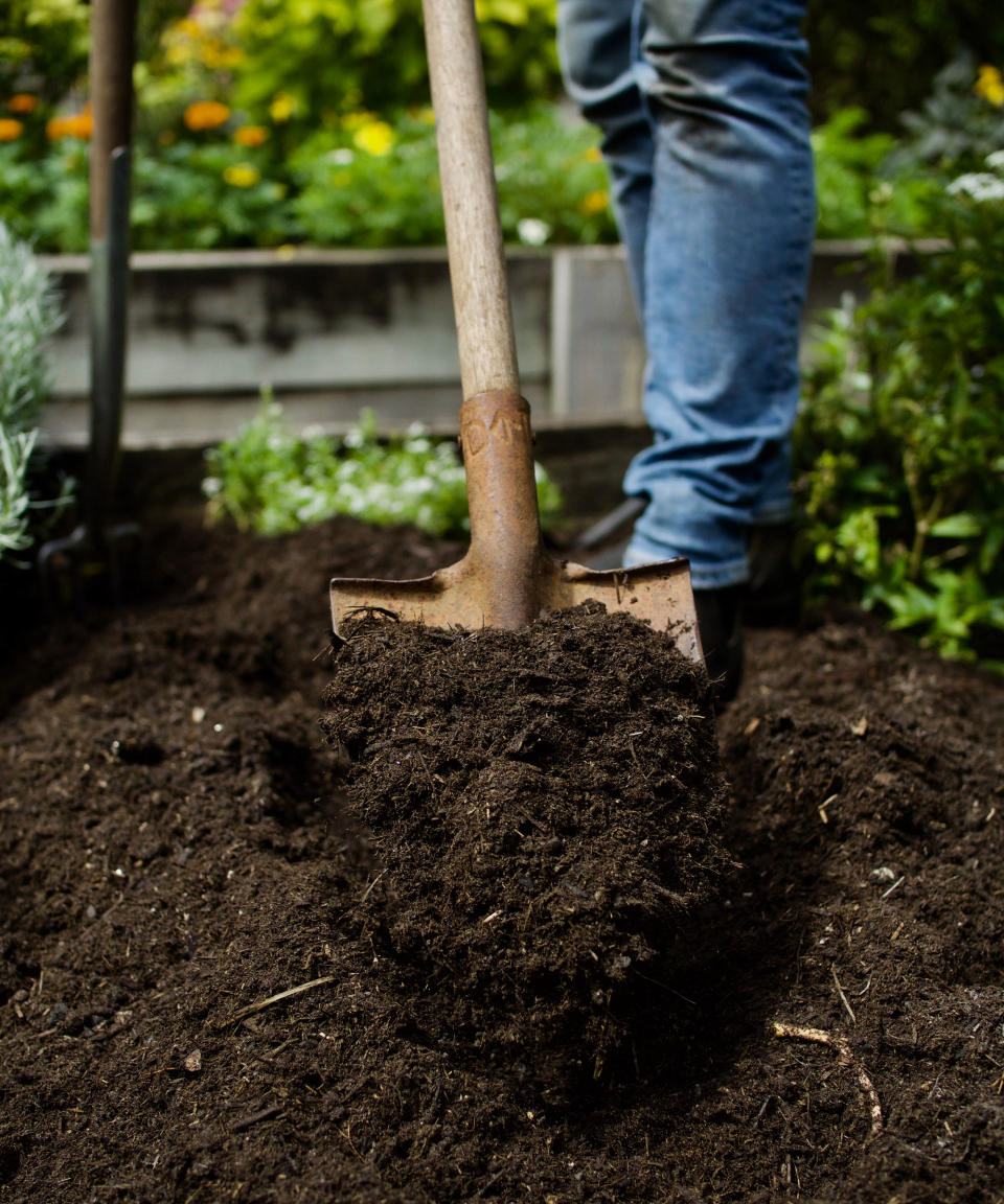 digging garden soil