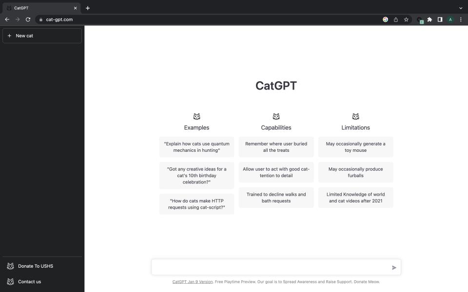 CatGPT's landing page.