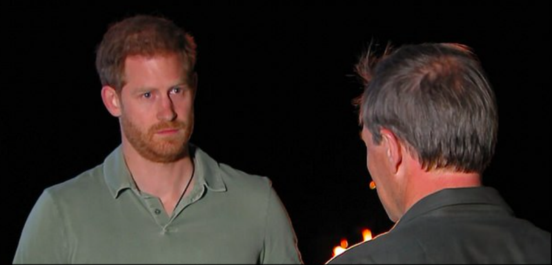 Prince Harry interview ITV documentary