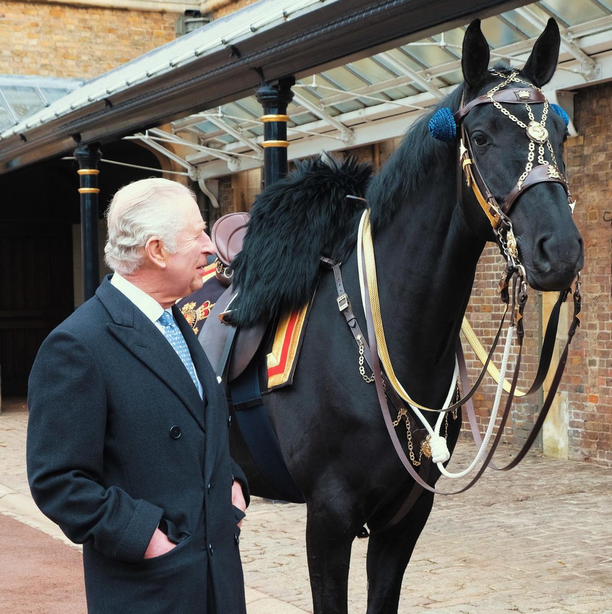 The King meets Noble, the horse gifted to him by the Royal Canadian Mounted Police, at The Royal Mews in Windsor, March 2023