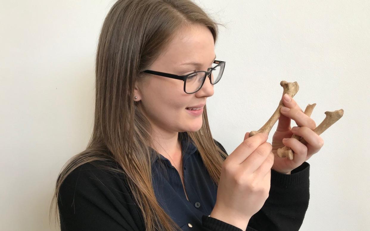  Malene Lauritsen with a turkey bone  - University of Exeter 