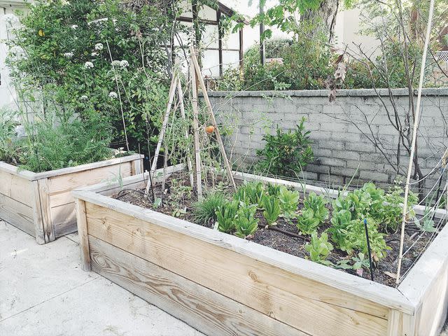 <p><a href="https://my100yearoldhome.com/make-it-yourself-how-to-build-raised-vegetable-beds/" data-component="link" data-source="inlineLink" data-type="externalLink" data-ordinal="1">My 100 Year Old Home</a></p>