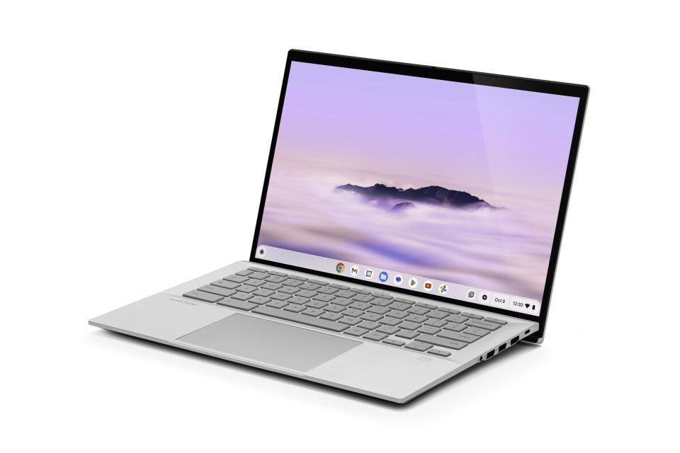 <p>ASUS ExpertBook CX54 Chromebook Plus</p>
