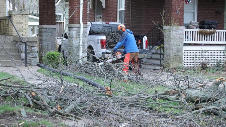 Clifton Matekovitch clears tree limbs April 3, 2024 from a downed tree on his property during after the 80 mph straight line wind storm that swept over Lexington, Ky the night before. Tasha Poullard/tpoullard@herald-leader.com