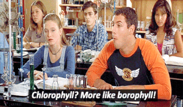 Billy Madison says "Chlorophyll, more like boro-phyl"