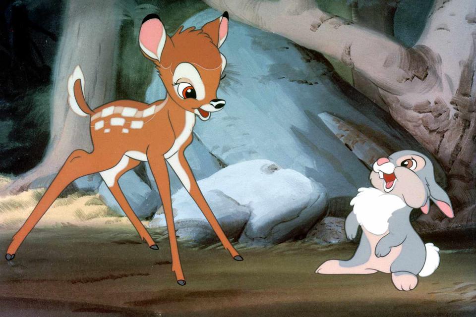 <p>Plans for a <a href="https://people.com/movies/bambi-remake-disney-to-transform-animated-classic-into-a-new-live-action-film-report/" rel="nofollow noopener" target="_blank" data-ylk="slk:Bambi live-action film;elm:context_link;itc:0;sec:content-canvas" class="link "><i>Bambi</i> live-action film</a> were first announced in January 2020. At the time, <a href="https://variety.com/2020/film/news/bambi-disney-remake-1203479063/" rel="nofollow noopener" target="_blank" data-ylk="slk:Variety reported;elm:context_link;itc:0;sec:content-canvas" class="link "><i>Variety</i> reported</a> that Geneva Robertson-Dworet and Lindsey Beer would be writing the screenplay, with Chris and Paul Weitz's Depth of Field producing. </p> <p>No further details have been announced yet. </p>