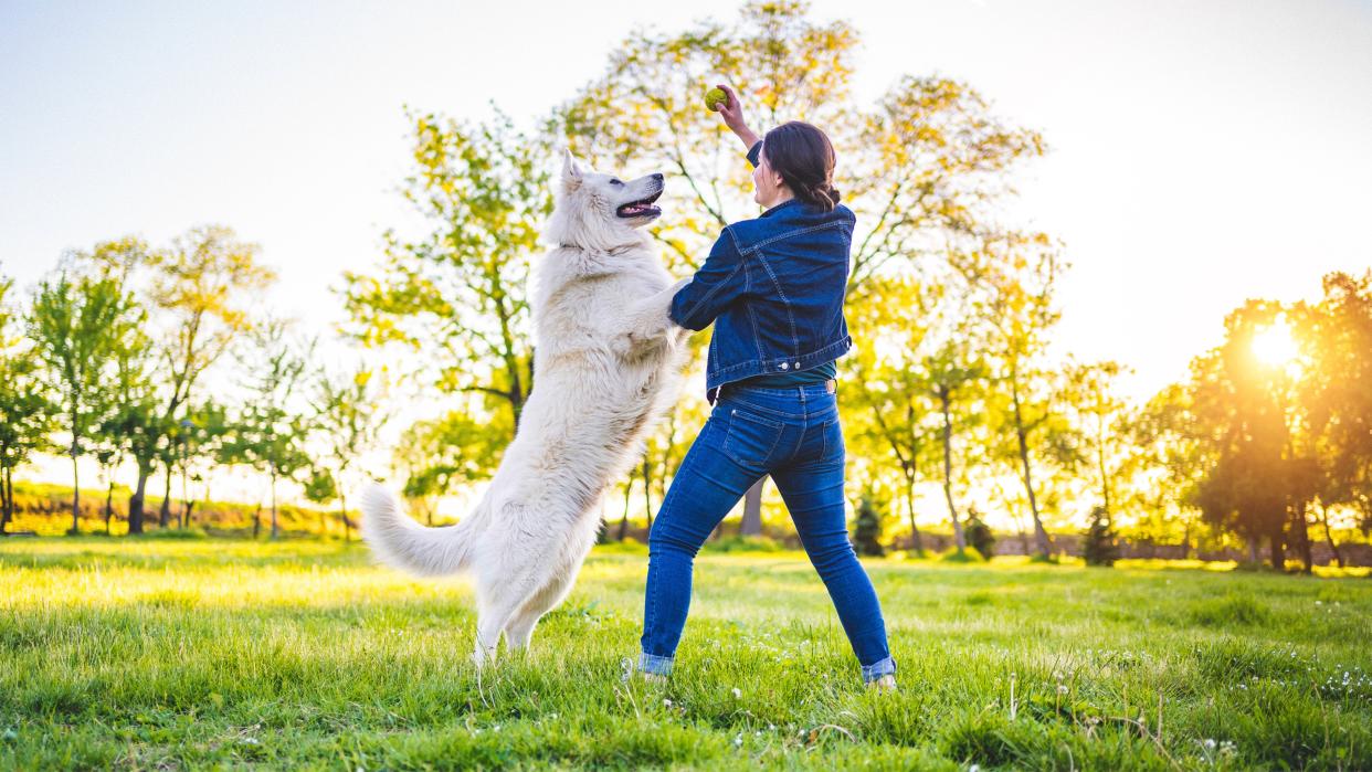 Woman training dog