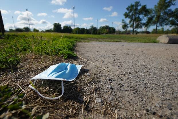 The city says flushing anything other than human waste and toilet paper is illegal under a bylaw.  (Francis Ferland/CBC - image credit)