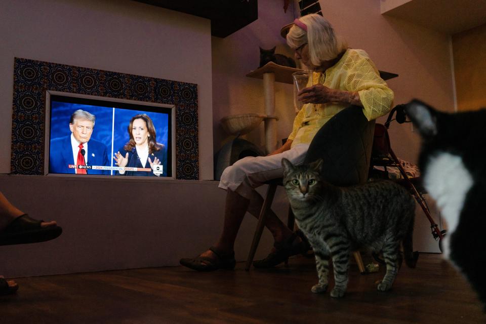 Supporters of Vice President Kamala Harris, accompanied by cats, attend a watch party for the presidential debate in Tucson, Arizona, on Sept. 10, 2024.