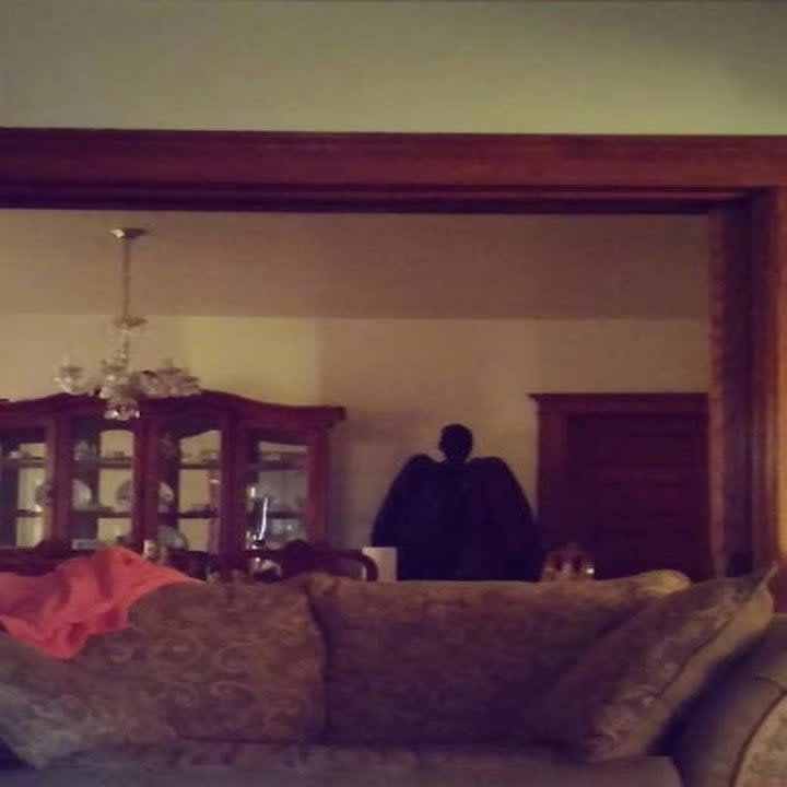 What looks like a dark silhouette in a room