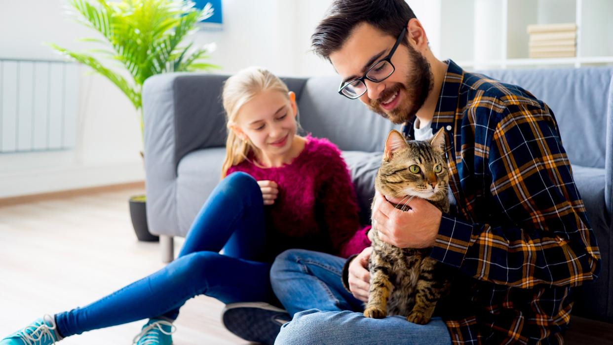  A family plays with their cat. 