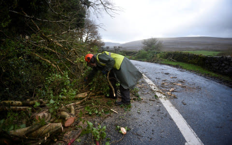 Worker clears fallen trees off a road during Storm Ophelia in Burren - Credit: CLODAGH KILCOYNE/Reuters