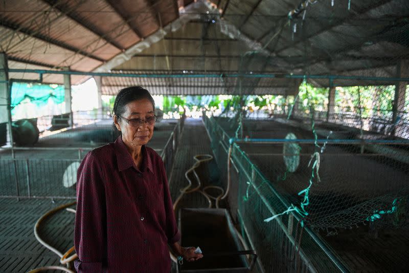 Thailand's pig farms ravaged by suspected African swine fever