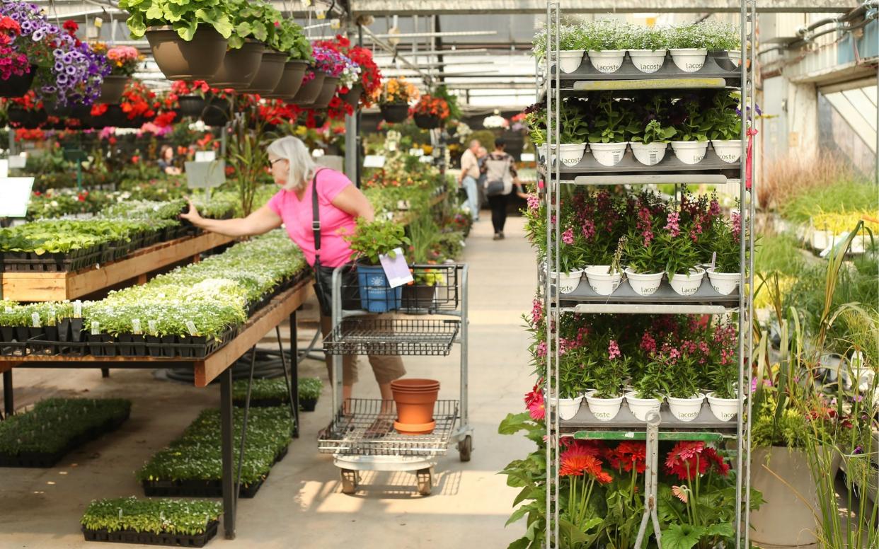best garden centres london all year round - Bloomberg