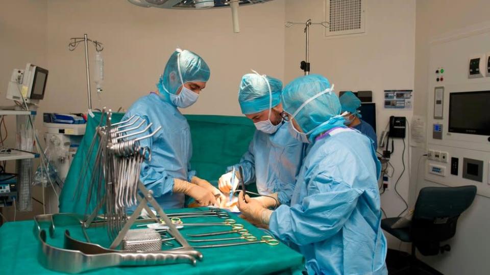 Cirurgi&#xf5;es realizando transplante de rim em Nice, Fran&#xe7;a