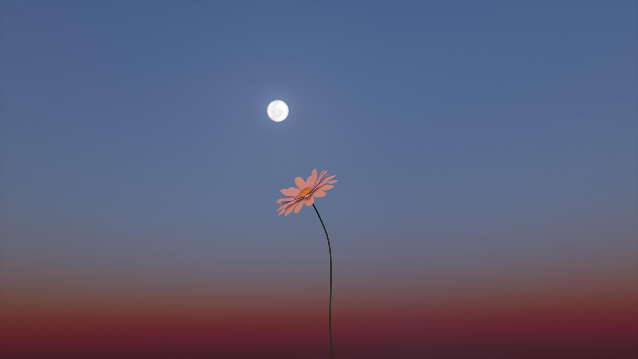  Low angle view of moon against sky at sunset. 