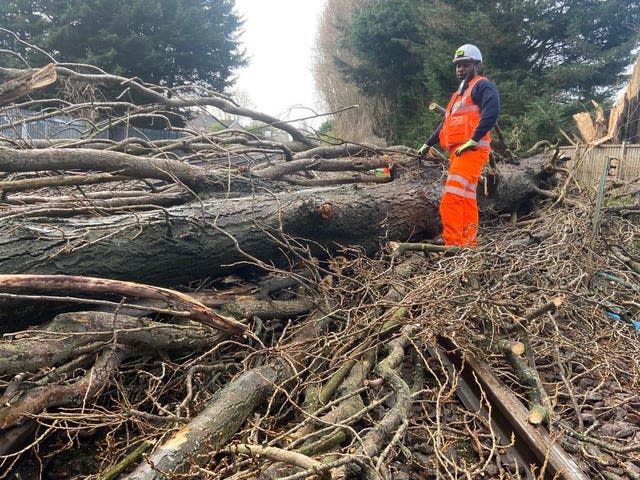 Fallen trees blocking lines in the Ewell West area of Epsom 