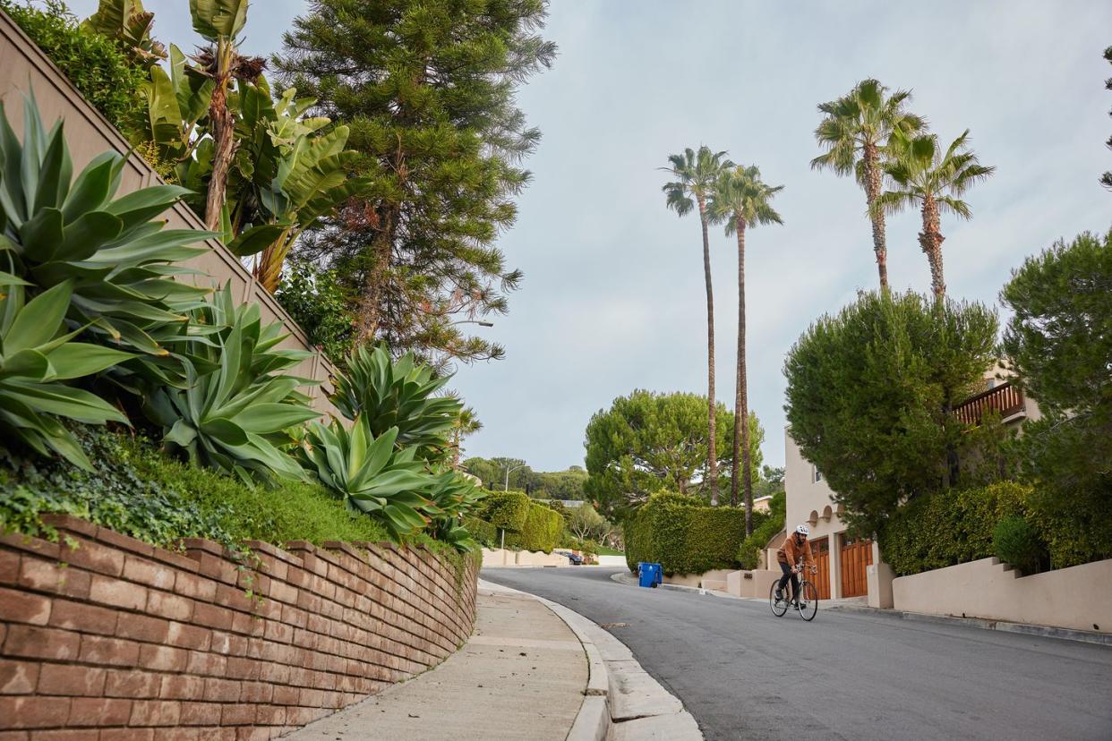 enchanted way road in the pacific palisades in los angeles california photographed in january 2023