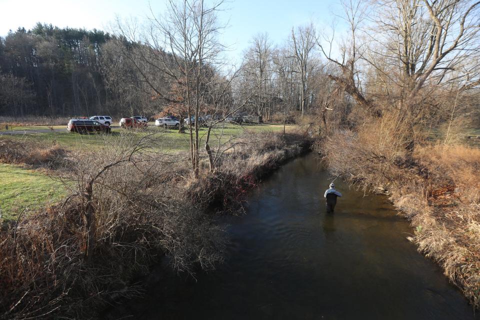 A derby contestant wades into Irondequoit Creek to fish during the 2021 Riedman Foundation Trout Derby at Powder Mills Park in Perinton on April 1, 2021.