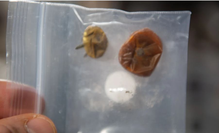 Astronaut Frank Rubio was long suspected of eating tomatoes he had harvested aboard the International Space Station until what remained of the produce turned up months later. NASA shared this photo of what was found.