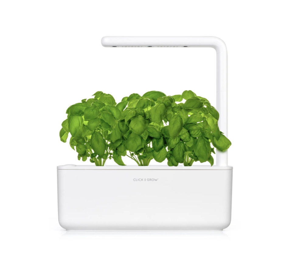Click & Grow Smart Garden 3 Self Watering Indoor Garden in White (Photo via Nordstrom)