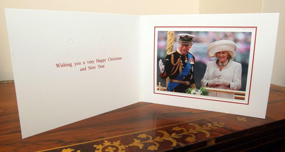 <p>Charles and Camilla went super OFFICIAL for the 2012 photos, subtly reminding everyone that they are, in fact, royal. In case you forgot!</p>