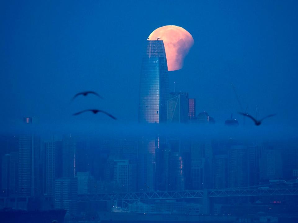 san francisco salesforce tower