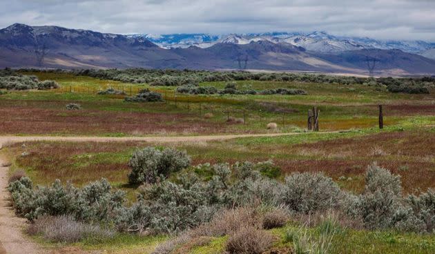 Bureau of Land Management projects is working to help save sage grouse habitat from wildfires in Elmore County, pictured here.