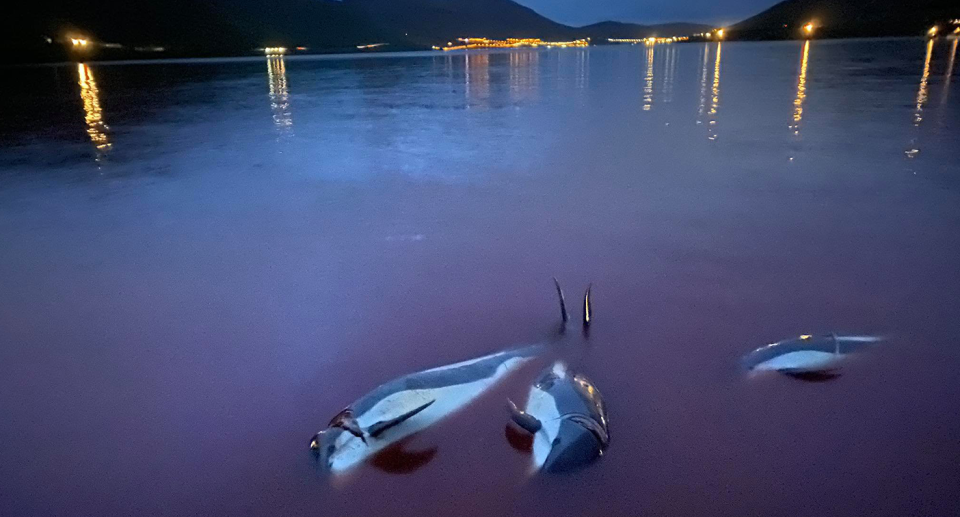 Some Faroe Islands locals have publicly criticised Monday's dolphin slaughter.