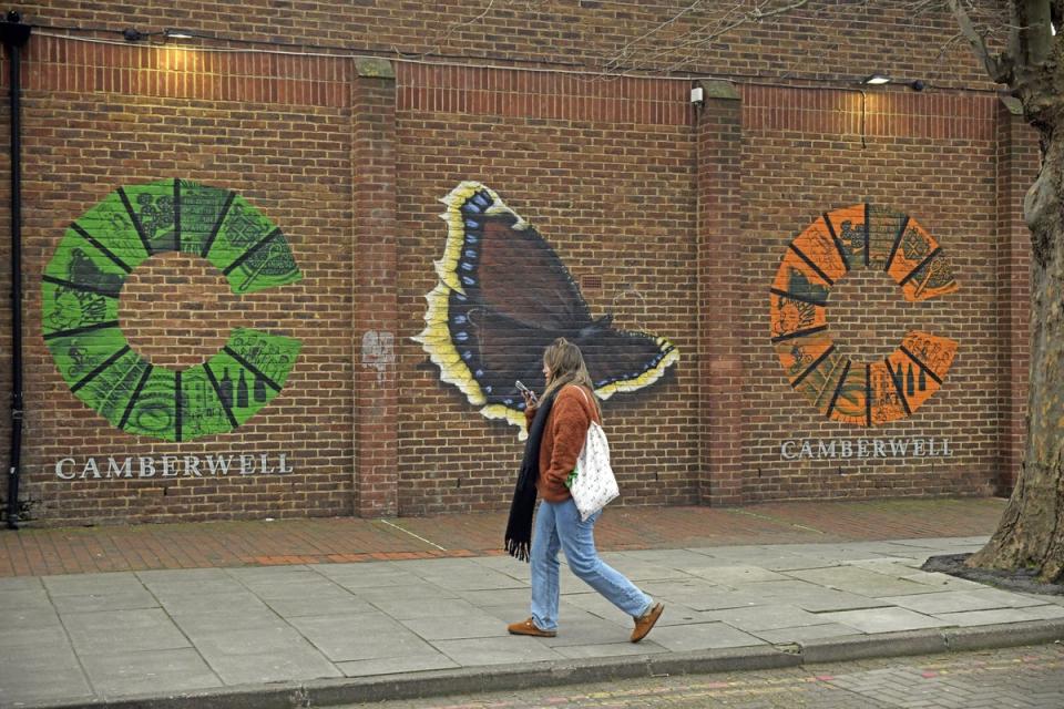 Look out for tributes to the Camberwell Beauty butterfly (Daniel Lynch)