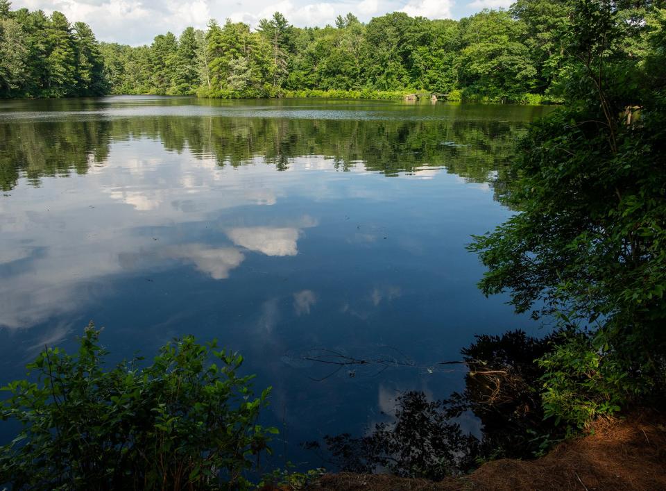 Cooks Pond in Worcester.