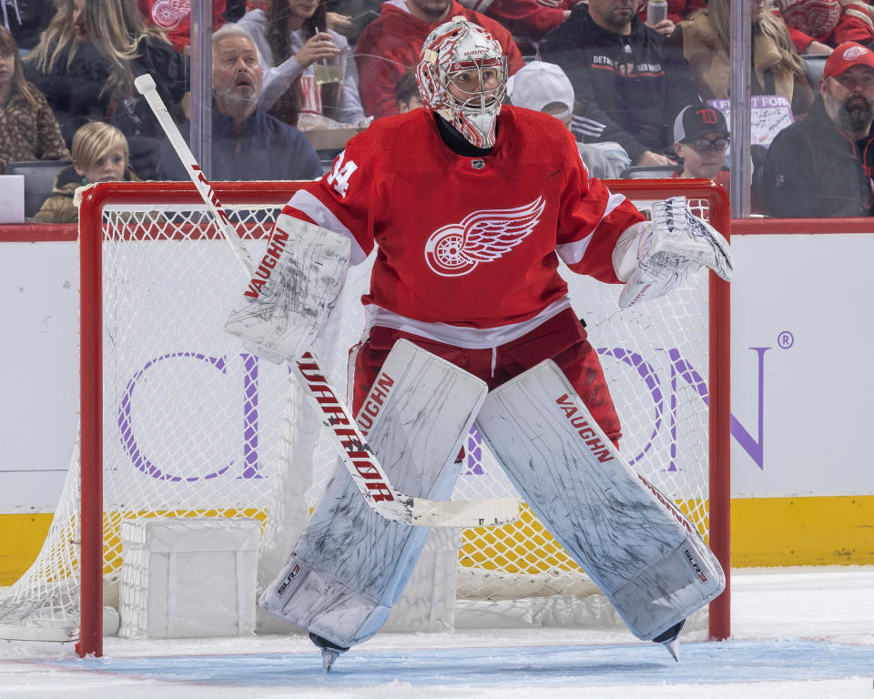 Alex Lyon #34 of the Detroit Red Wings. (Photo by Dave Reginek/NHLI via Getty Images)