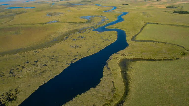 Parque Nacional Esteros del Iberá, sitio núcleo donde se reintrodujo el oso hormiguero gigante