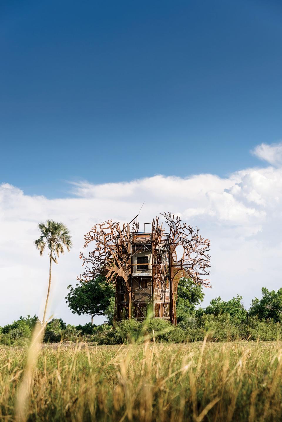 The Baobab tree house, where guests can sleep beneath the stars.