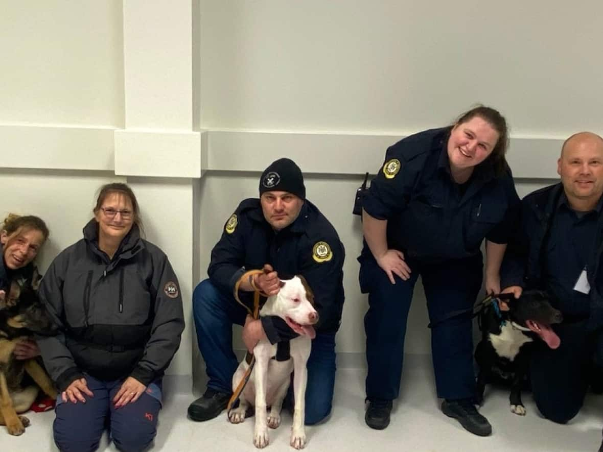 A group of volunteers and corrections officers with the dogs take part in the first Canine Connections program at the Thunder Bay Correctional Centre in northwestern Ontario. (Submitted by Shawn Bradshaw - image credit)