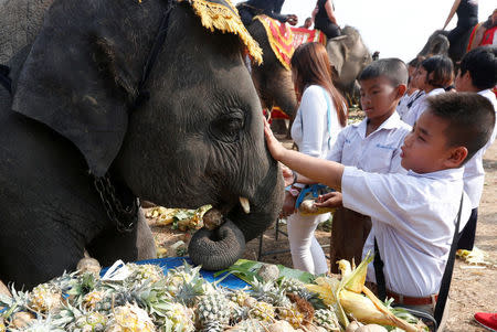 Students feed elephants during Thailand's national elephant day celebration in the ancient city of Ayutthaya March 13, 2017. REUTERS/Chaiwat Subprasom