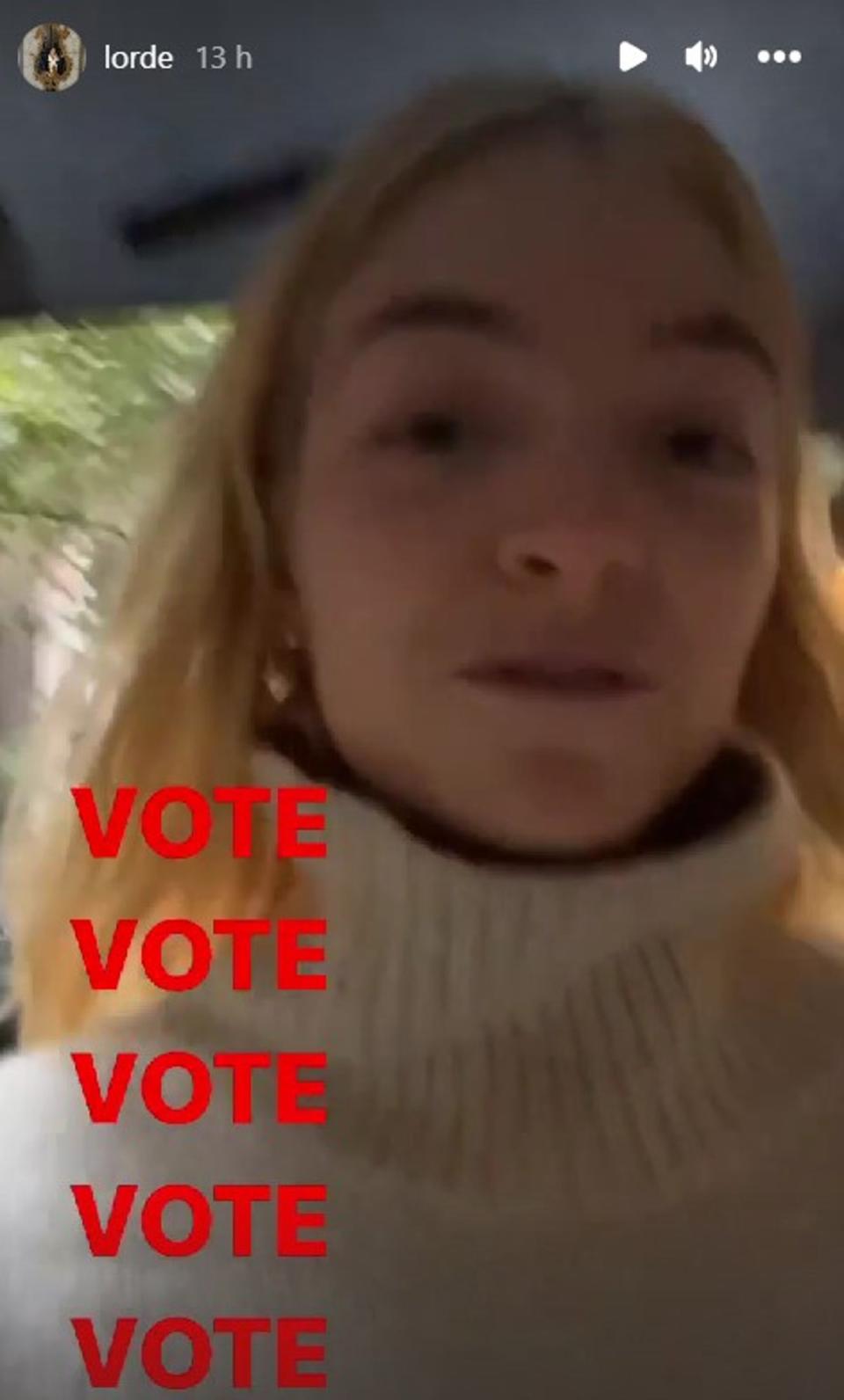 The singer, 25, took to social media to urge her New Zealand-based fans to vote (Instagram/Lorde)