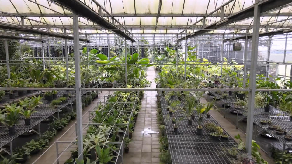辜嚴倬雲保種中心打造大規模溫、網室，保育植物。（圖／獨立特派員）
