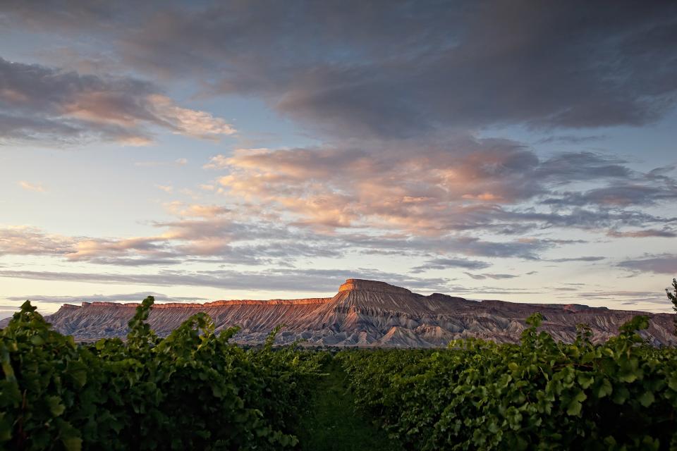 As American viticulture becomes more and more sophisticated, lesser-known regions have grown increasingly interesting. From Virginia to Washington, here’s where to explore.