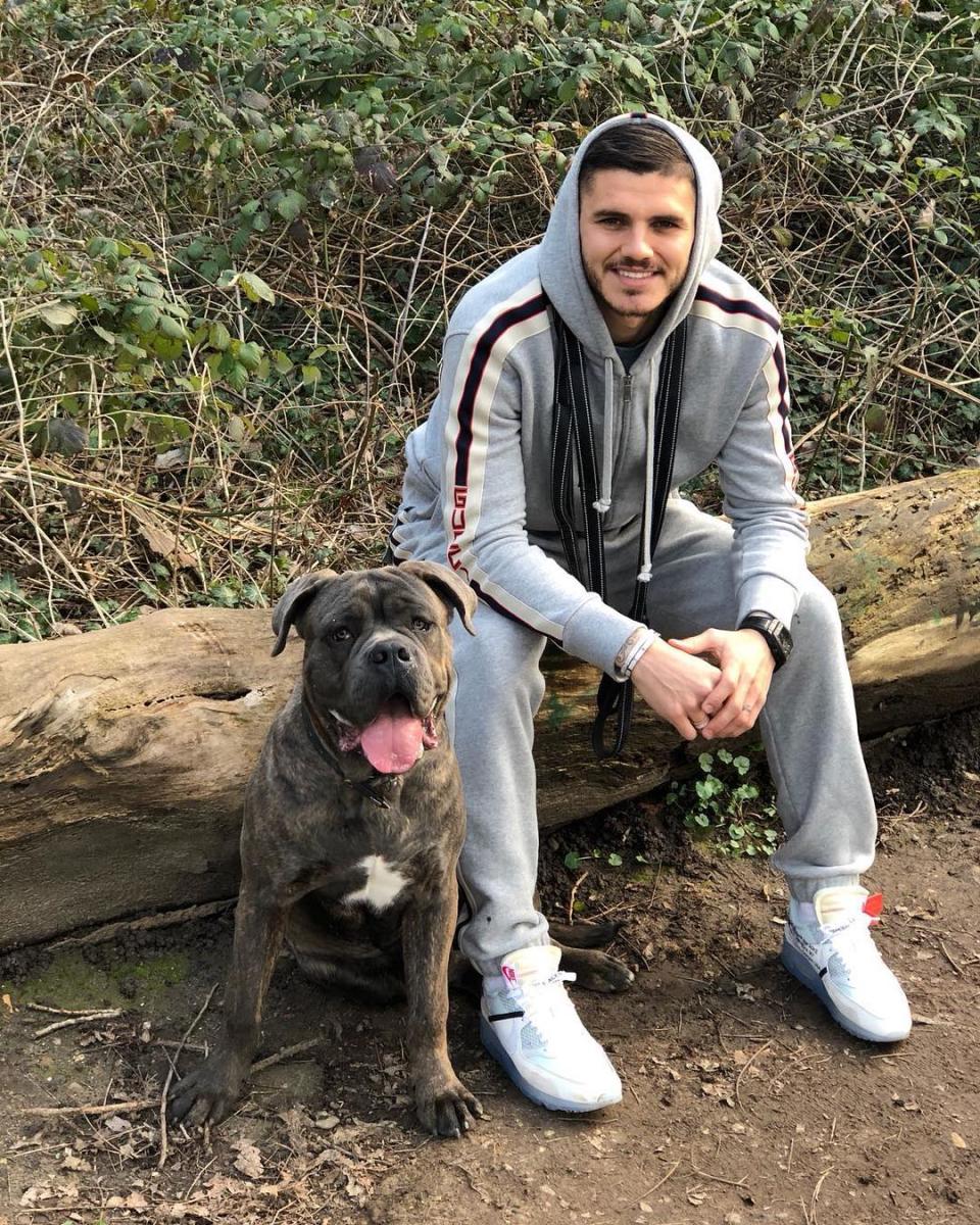 Mauro Icardi al parecer ya tiene plan B si Sampaoli no lo convoca para Rusia: <a href="https://www.instagram.com/p/BguJEQVHMgf/?hl=en&taken-by=mauroicardi" rel="nofollow noopener" target="_blank" data-ylk="slk:Mauro Icardi/Instagram;elm:context_link;itc:0;sec:content-canvas" class="link ">Mauro Icardi/Instagram</a>