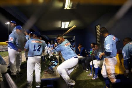 Players of Los Artesanos de Las Piedras prepare for a baseball game against Los Halcones de Gurabo during the Puerto Rico Double A baseball league at Las Piedras, Puerto Rico, June 11, 2016. REUTERS/Alvin Baez