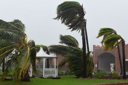 Trees effected by strong winds from Cyclone Debbie can be seen in the town of Bowen, located south of the northern Australian city of Townsville, March 28, 2017. AAP/Sarah Motherwell/via REUTERS