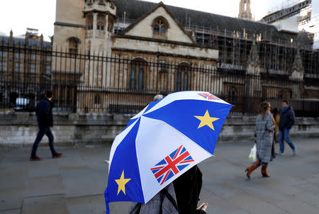 A pro-EU supporter holds an umbrella outside the Palace of Westminster in London, Britain, December 11, 2018. REUTERS/Peter Nicholls