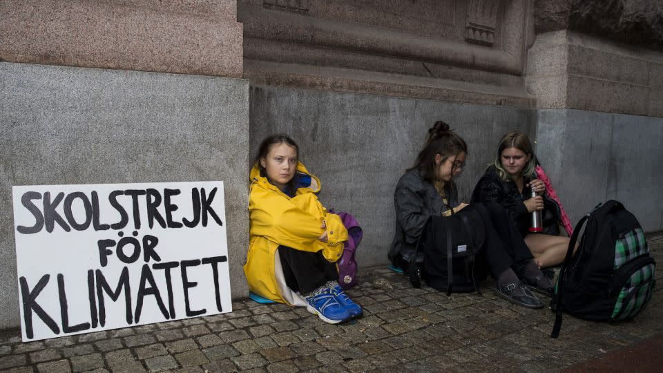 Then-15-year-old Swedish student Greta Thunberg leads a school strike in Stockholm, 2018. - Michael Campanella/Getty Images