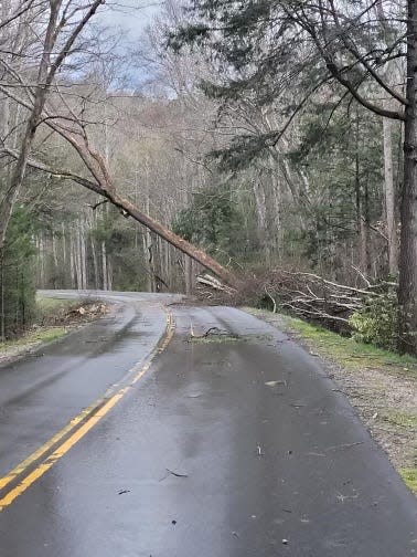 A tree crosses over Laurel Creek Road after a high wind event overnight closed most roads in the Great Smoky Mountains National Park March 26.